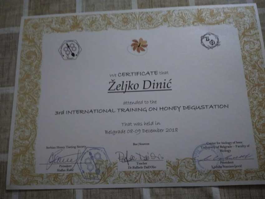 International Training Certificate