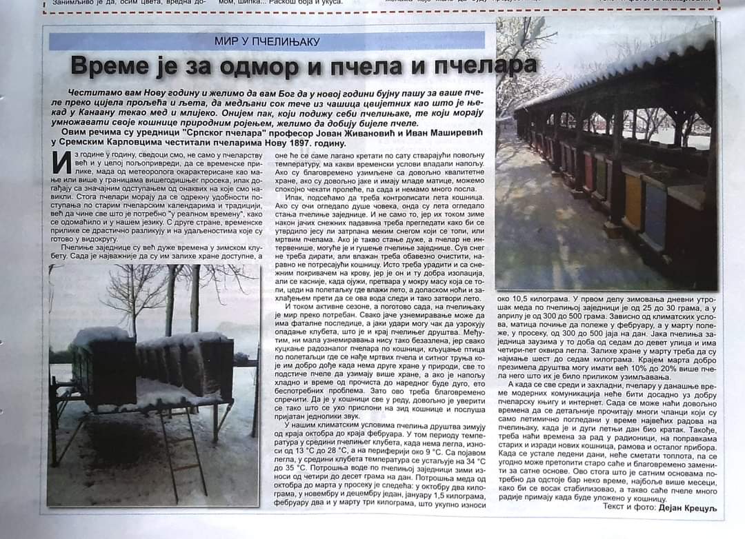 Savršeni pčelinji zimski svet